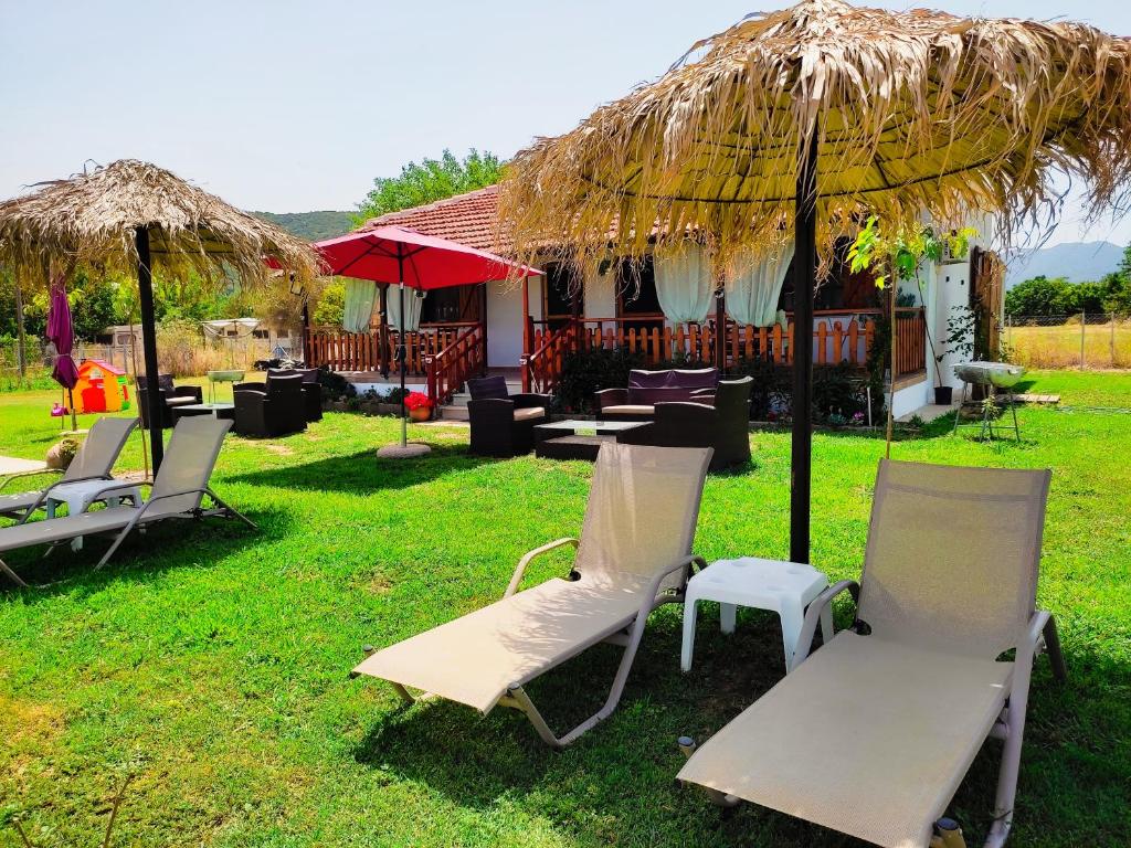 RODAVGI property garden with sun loungers, thatched umbrellas, and mountain views in Paralia Sikias, Sithonia